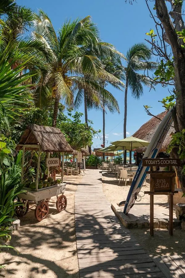Hotel Colibri Beach Playa del Carmen