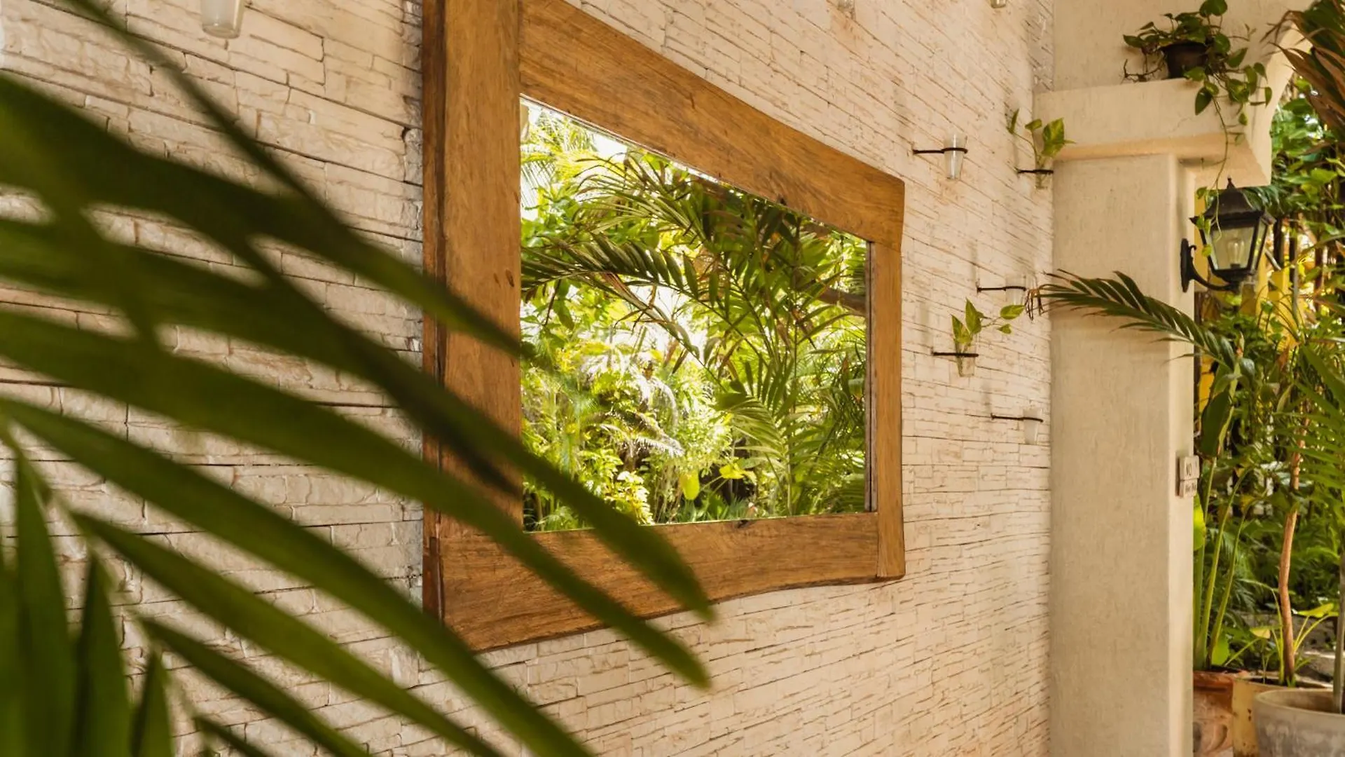 ****  Hotel Colibri Beach Playa del Carmen Messico
