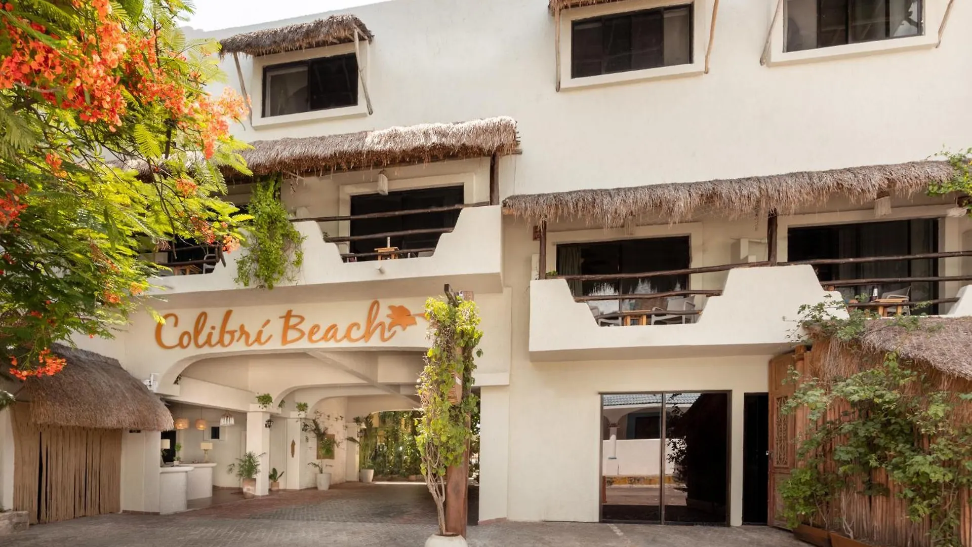 Hotel Colibri Beach Playa del Carmen