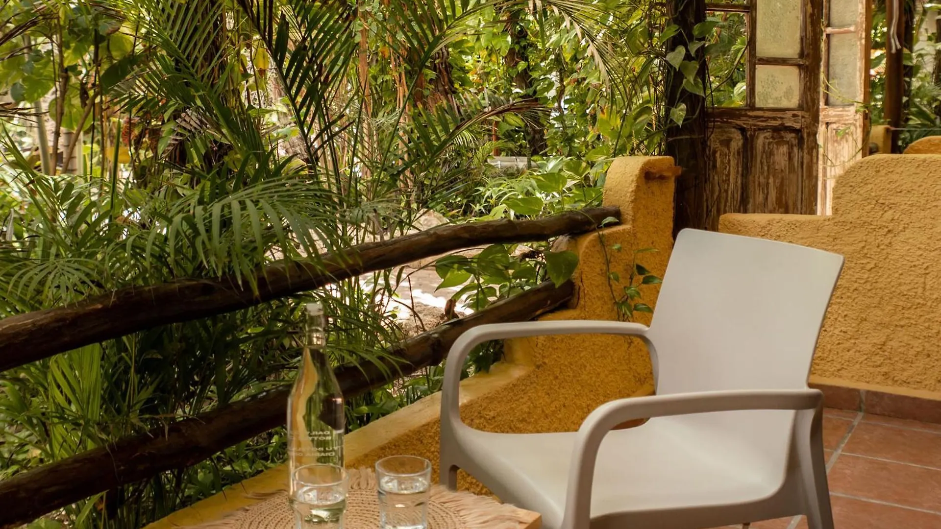 Hotel Colibri Beach Playa del Carmen