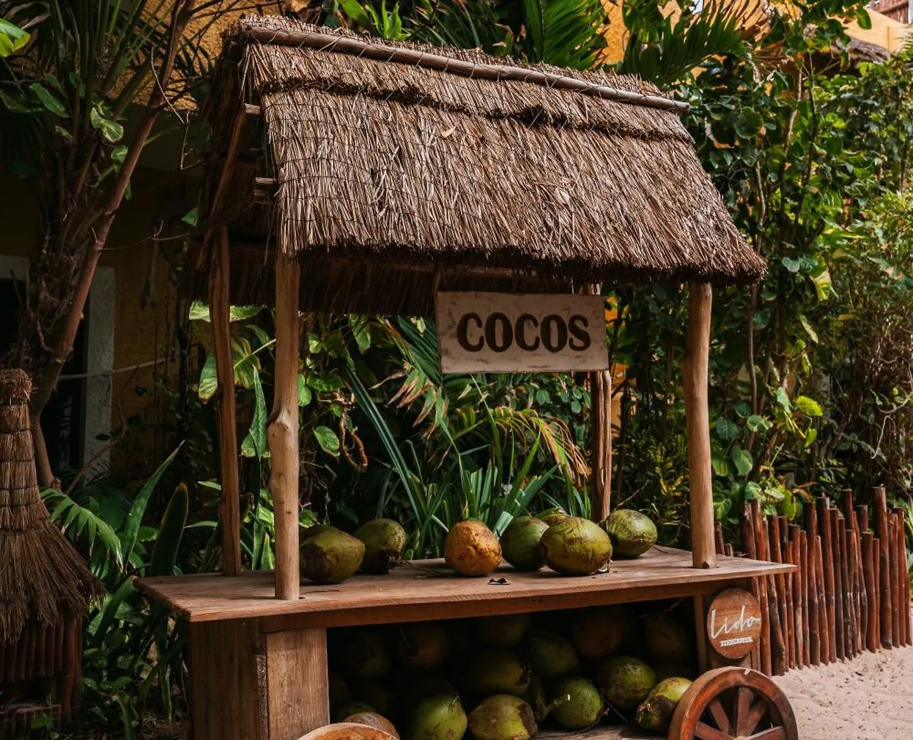 Hotel Colibri Beach Playa del Carmen