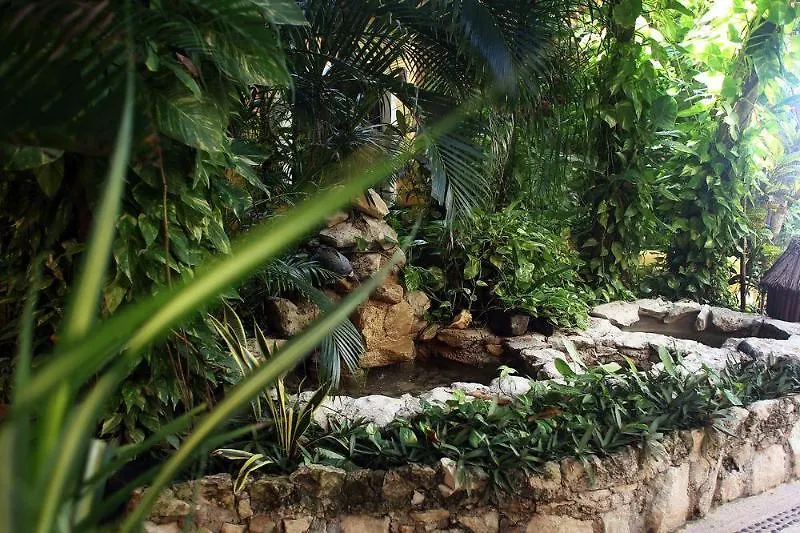Hotel Colibri Beach Playa del Carmen