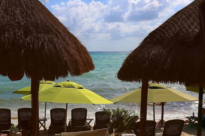 Hotel Colibri Beach Playa del Carmen Messico