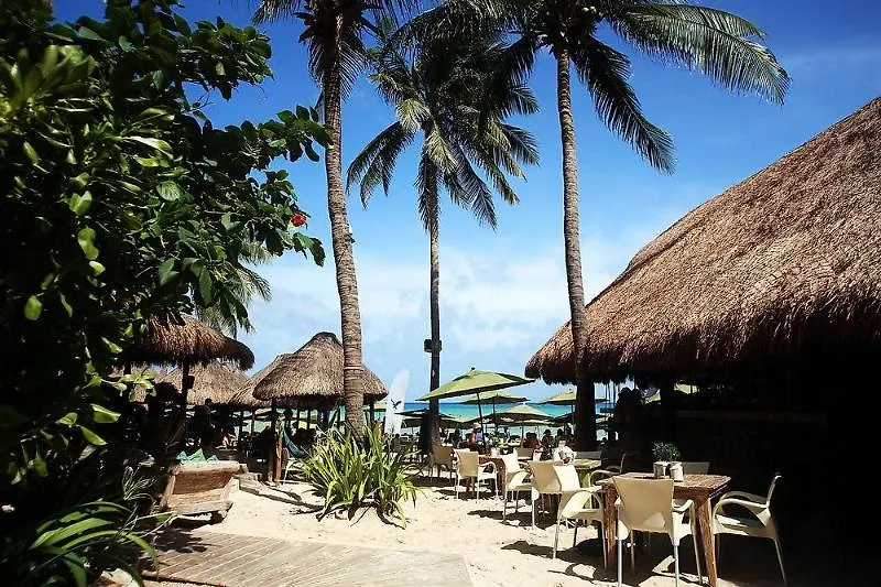 Hotel Casa Colibri Playa del Carmen Mexico