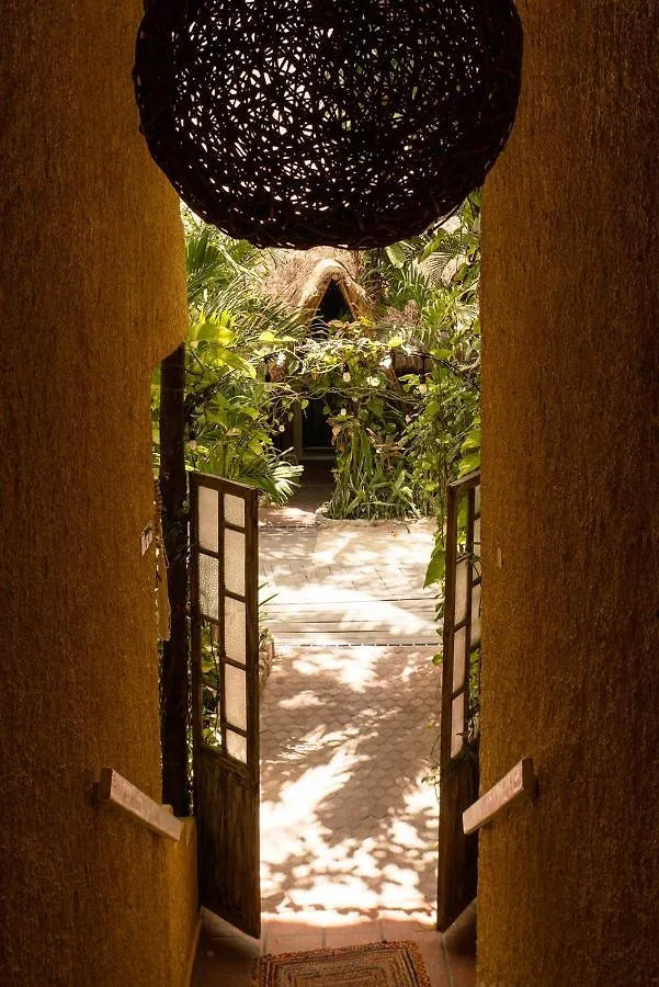 Hotel Casa Colibri Playa del Carmen Meksika